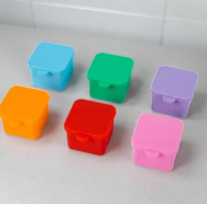 Bento Silicon Storage Container with Lid (100 mL)